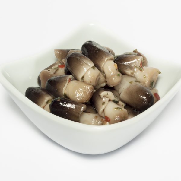 Funghi di muschio