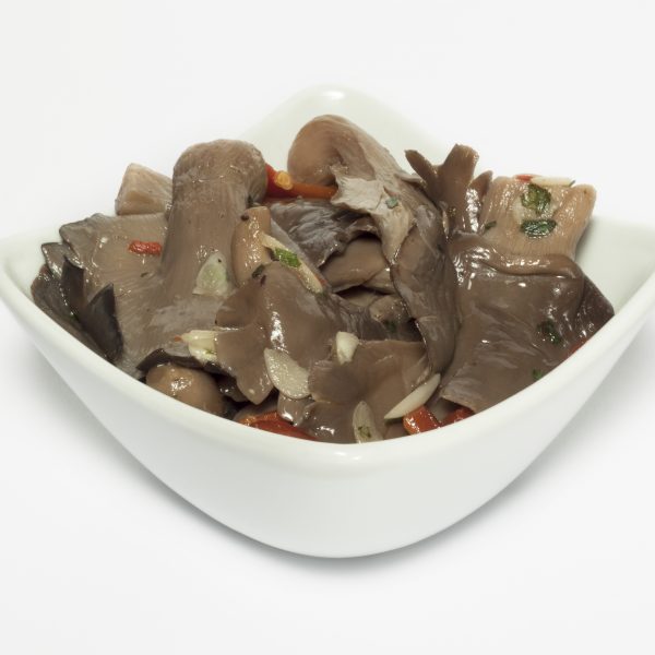 Funghi Pleurotus